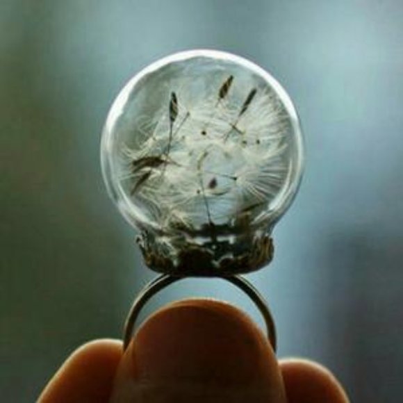 Hand Crafted Jewelry - 💎HP💎 Dandelion Ring